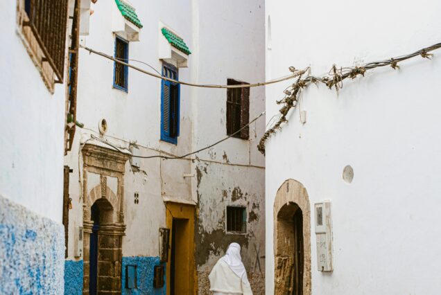From Agadir: Essaouira Day Trip