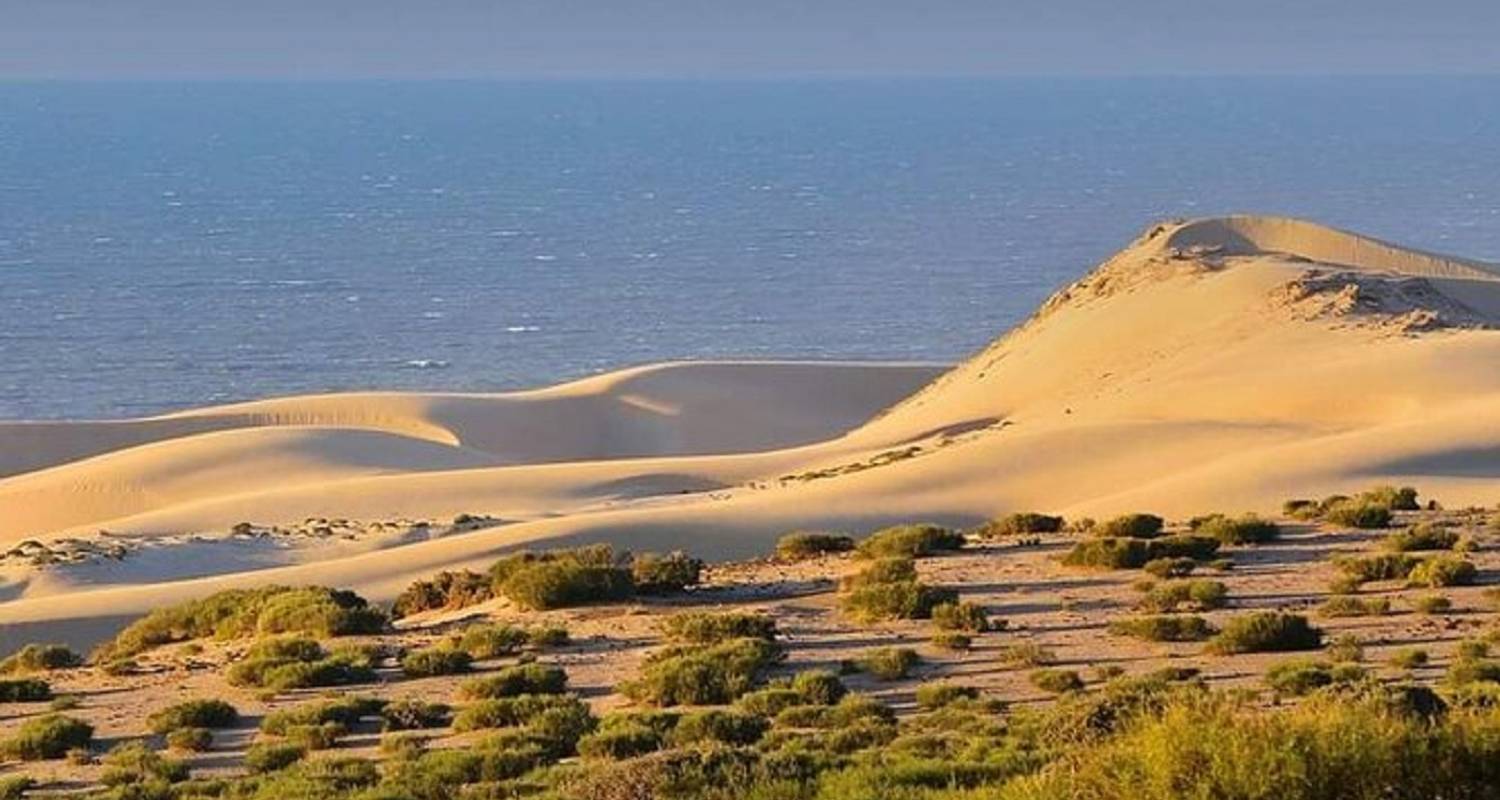 From Agadir: Small Sahara Desert Day Trip with Camel Ride & Lunch