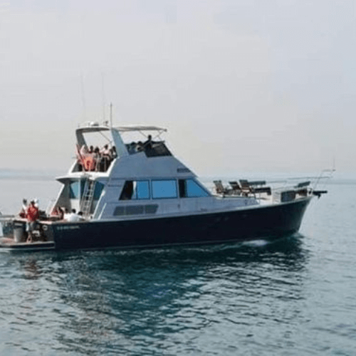 Boat-trip-1 Boat-trip-1