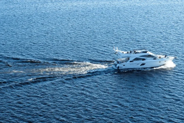 From Agadir or Taghazout: Boat Trip Adventure