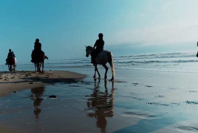 From Agadir or Taghazout: Horse Riding Tour